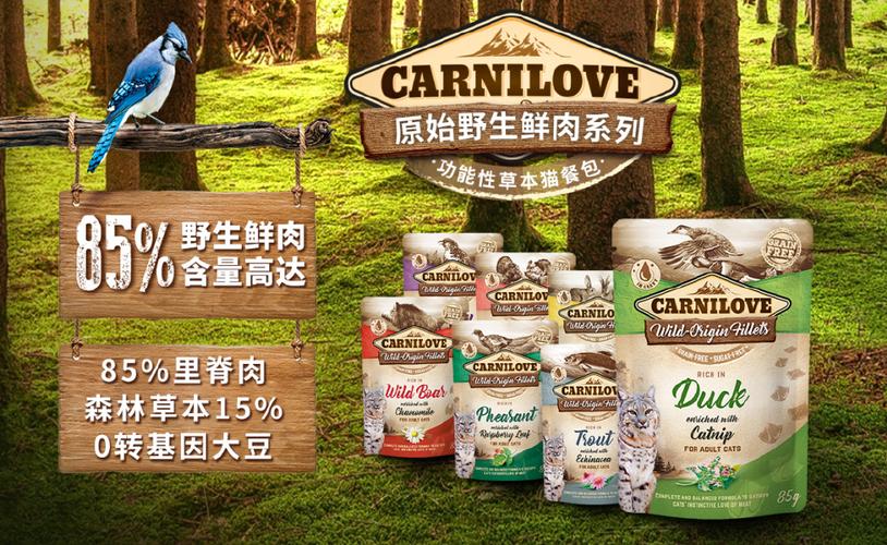 萌宠专线 高端宠物用品跨境贸易与国内代理的卓越桥梁