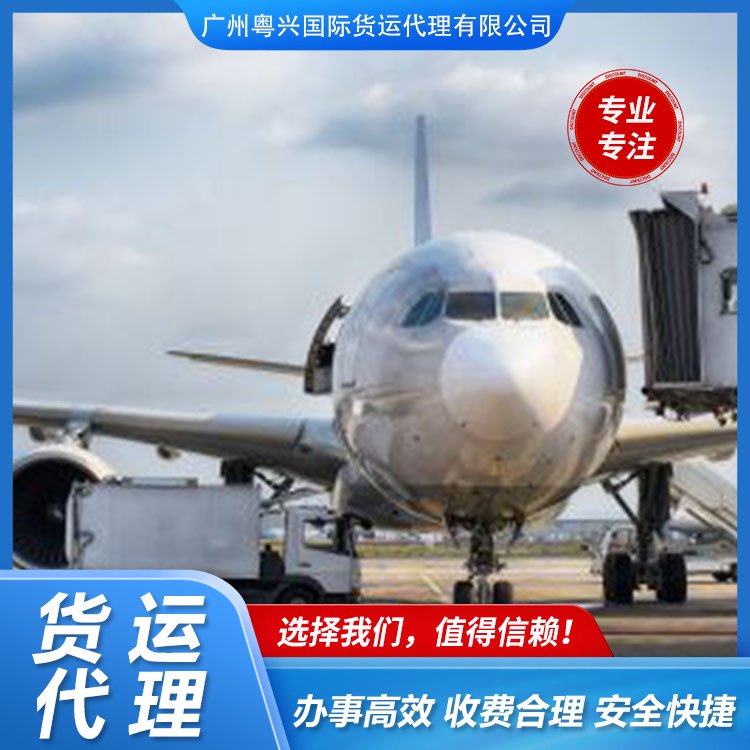国内多式联运与物流服务全景解析